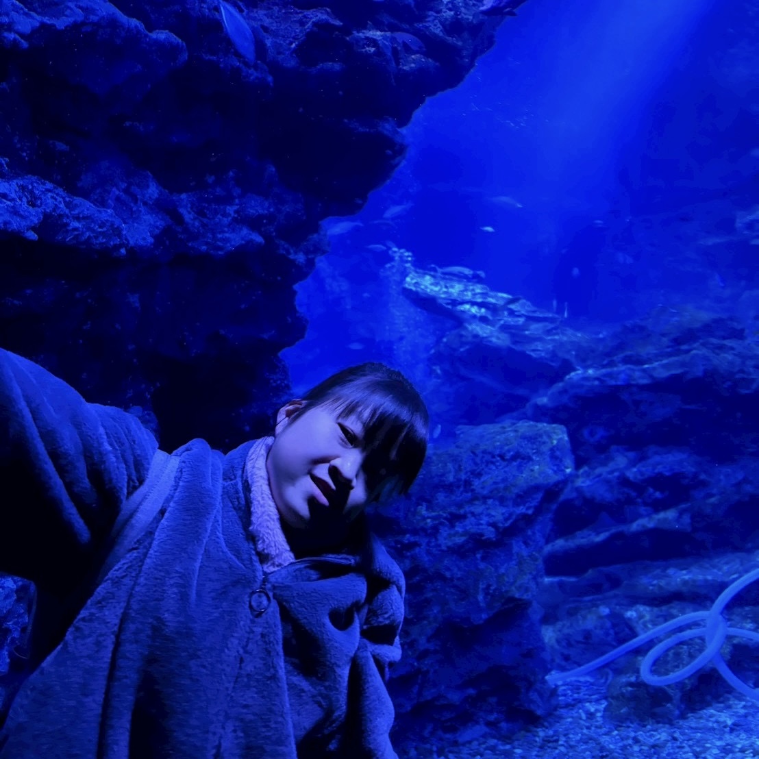 Jiriaでの京都水族館の様子